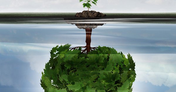 taibaro1's tweet image. The new concept: Convertible Tokens - #Quantum1Net #Q1S #ConvertibleTokensTerjemahkan dari Inggris