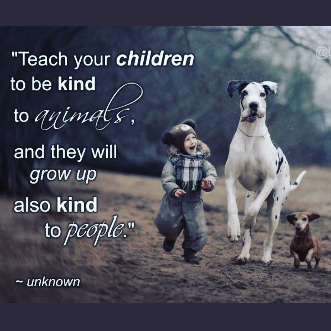 Gary Hensel (@gary_hensel) on Twitter photo 