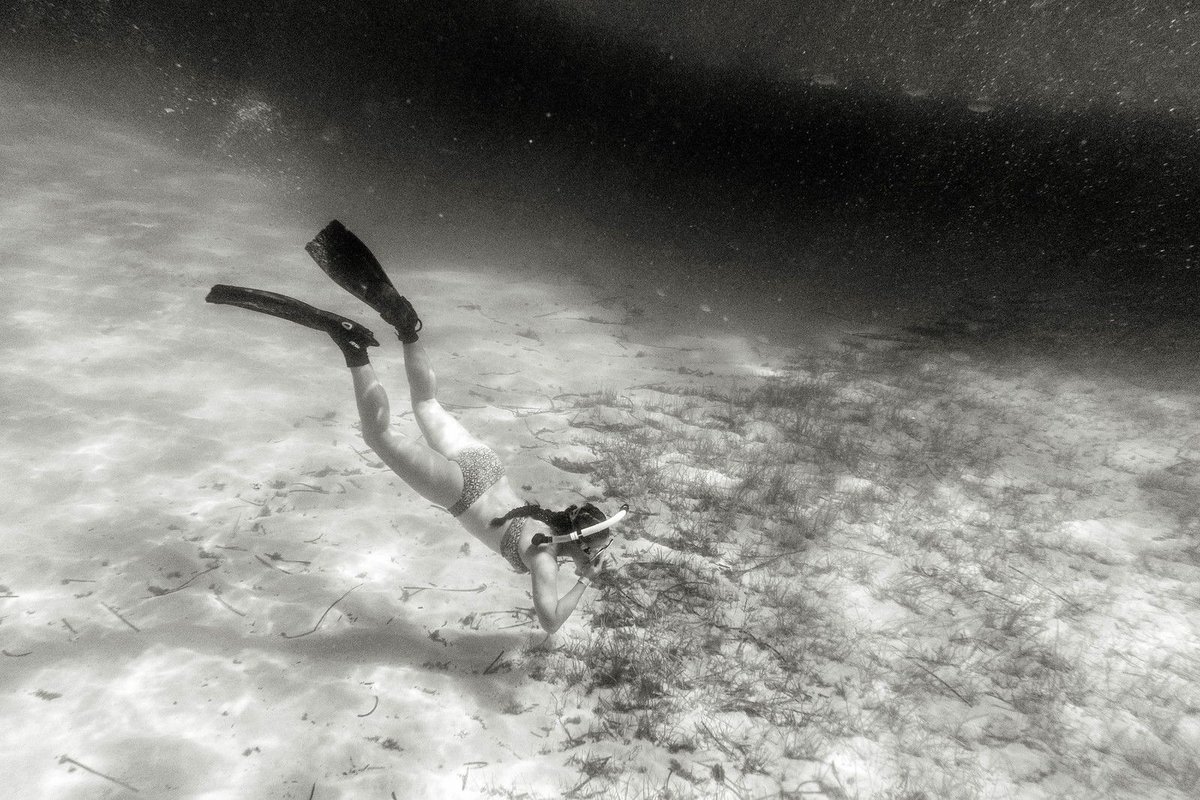 Wanderlust_Dogs's tweet photo. Some time underwater is long overdue!!!!! https://t.co/aq546mbqJE