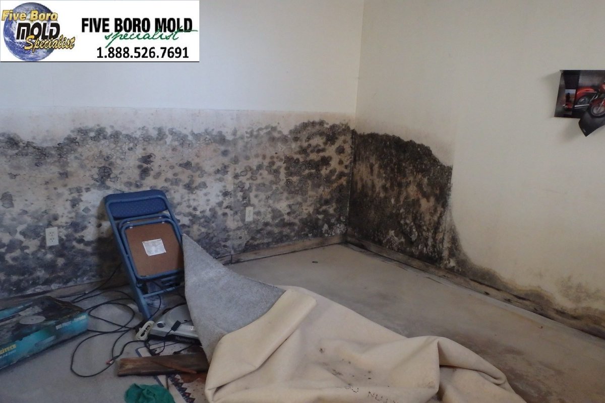 5BoroMold's tweet image. Let us help! Free mold removal quote. Call us at 888-526-7691.
#mold #moldproblem #home #business #moldsigns #moldconcerns #moldgrowth #harmfulmold #waterdamage, #moldcleanup #disasterrestoration #moldremediation #moldrestoration #moldremoval #moldinspection #blackmold