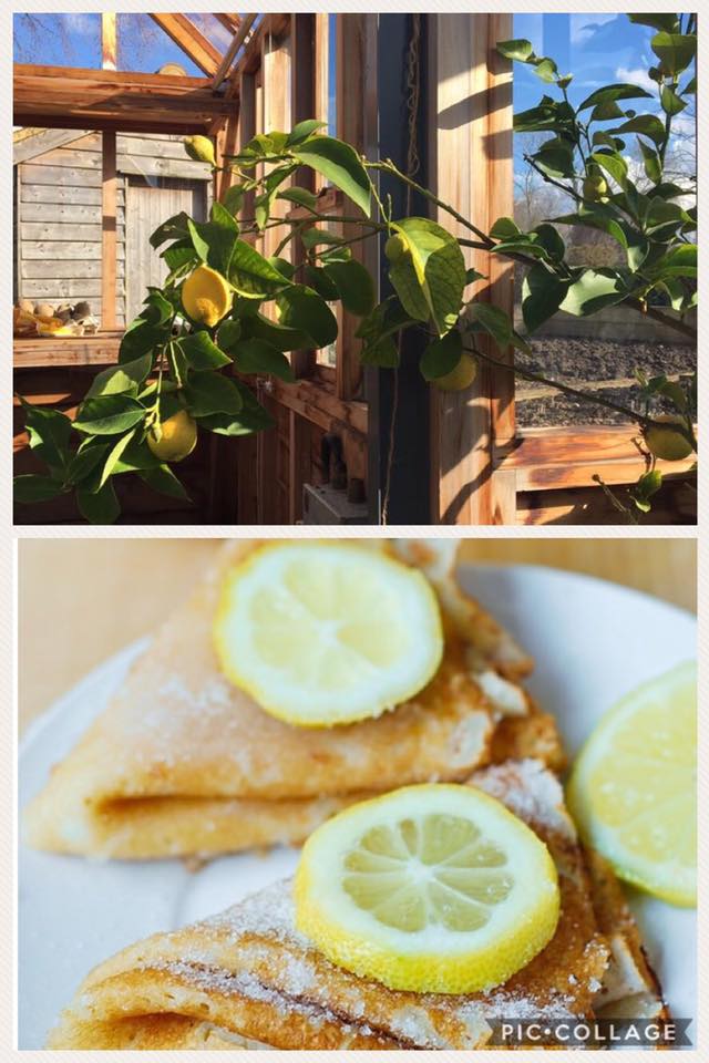 ✨✨ HAPPY PANCAKE DAY!! ✨✨

We will be enjoying ours with lemon and sugar!!

Using lemons grown right here in the gardens at <a href="/Maidens_Barn/">Maidens Barn Wedding</a> 

We hope you all enjoy yours!!