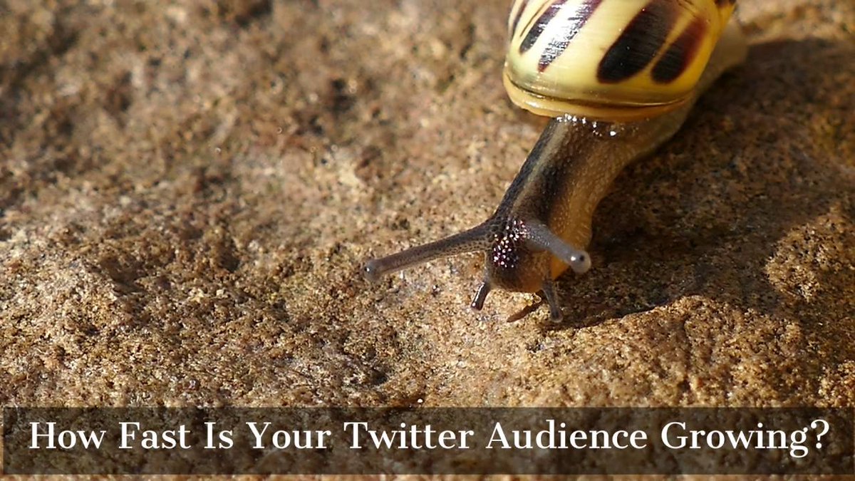 FunVidClick's tweet photo. How Fast Is Your Twitter Audience Growing?

https://t.co/kkpGyfcGeE

#twitter #growth #contentmarketing https://t.co/IVMWygnKbg