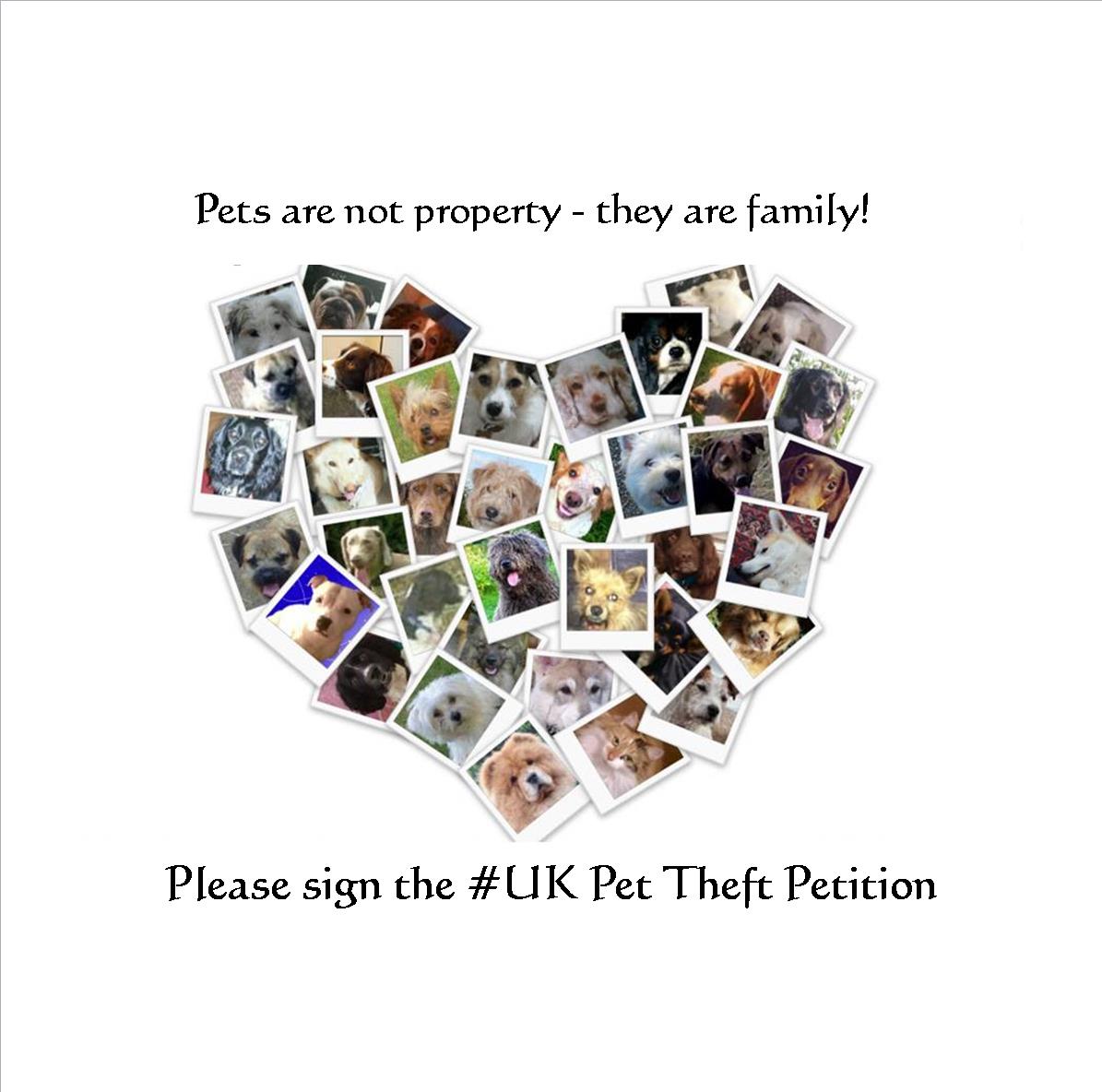 HelpFindThem14's tweet image. With so many pets being stolen, please don't forget to sign the #UK Pet Theft Petition to Reclassify the theft of a pet to a specific crime in its own right. petition.parliament.uk/petitions/2121…
Our pets are part of the family - not property! #PetTheft