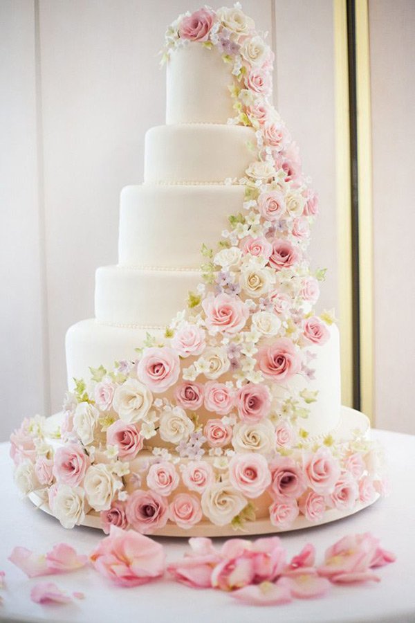 Cake Classics tweet media