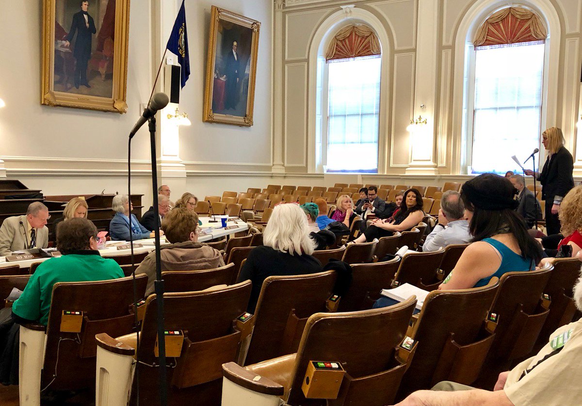 Supporters spoke on the importance of non-discrimination protections for transgender people at a committee hearing in New Hampshire.