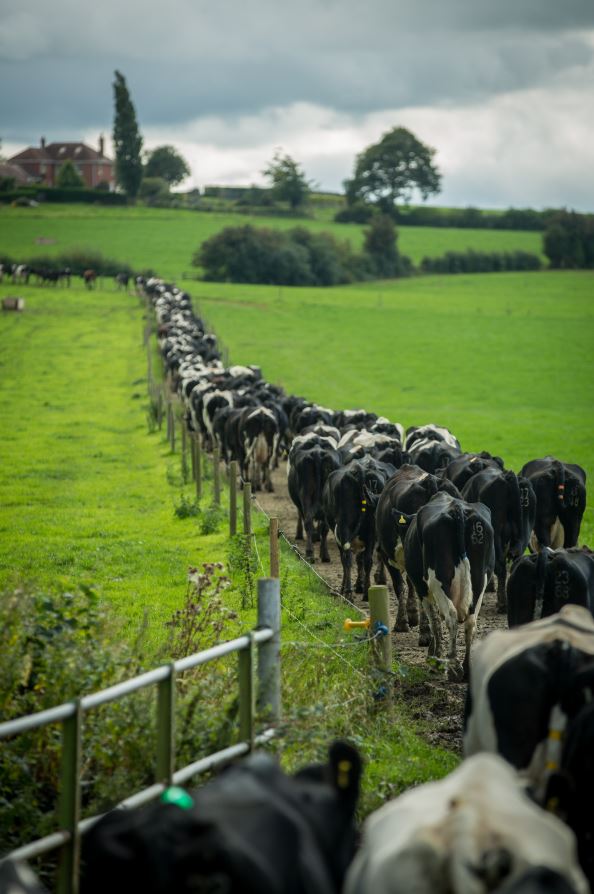 WMNFarming's tweet photo. Wow! After 28 days, this is the last post! A big thank you to everyone who has joined our #Februdairy campaign! We hope it has inspired you to celebrate and support the work of Westcountry #dairy farmers! #proudofdairy #teamdairy #westisbest https://t.co/CKp0g0oW2L