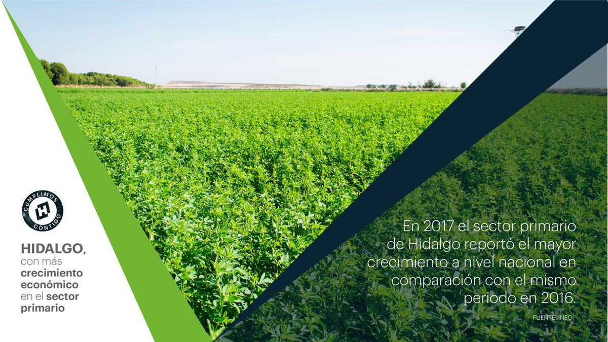 SEDAGRO_HIDALGO's tweet photo. Hidalgo es un referente nacional del campo, ya que en 2017 el sector primario de nuestro estado reportó el mayor crecimiento a nivel nacional en comparación con el mismo periodo en 2016 de acuerdo a @INEGI_INFORMA. #CumplimosContigo https://t.co/dPtDcEoII5