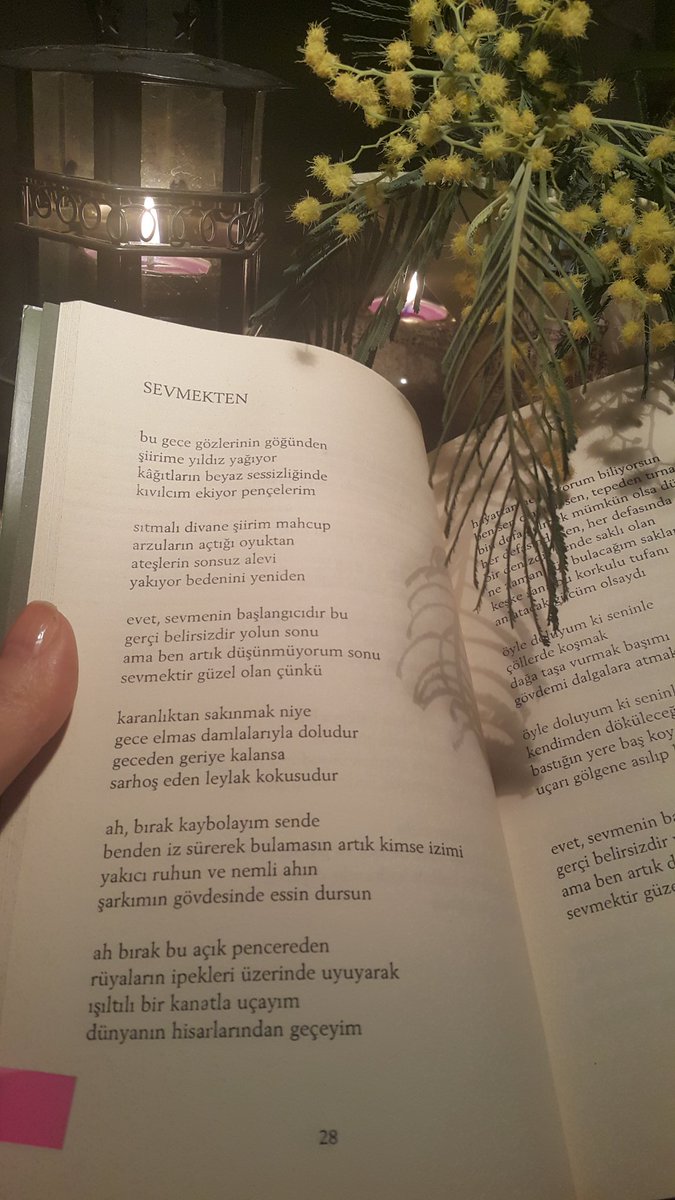 "Sevmektir güzel olan çünkü"
#Furuğ 

Saygı ile...