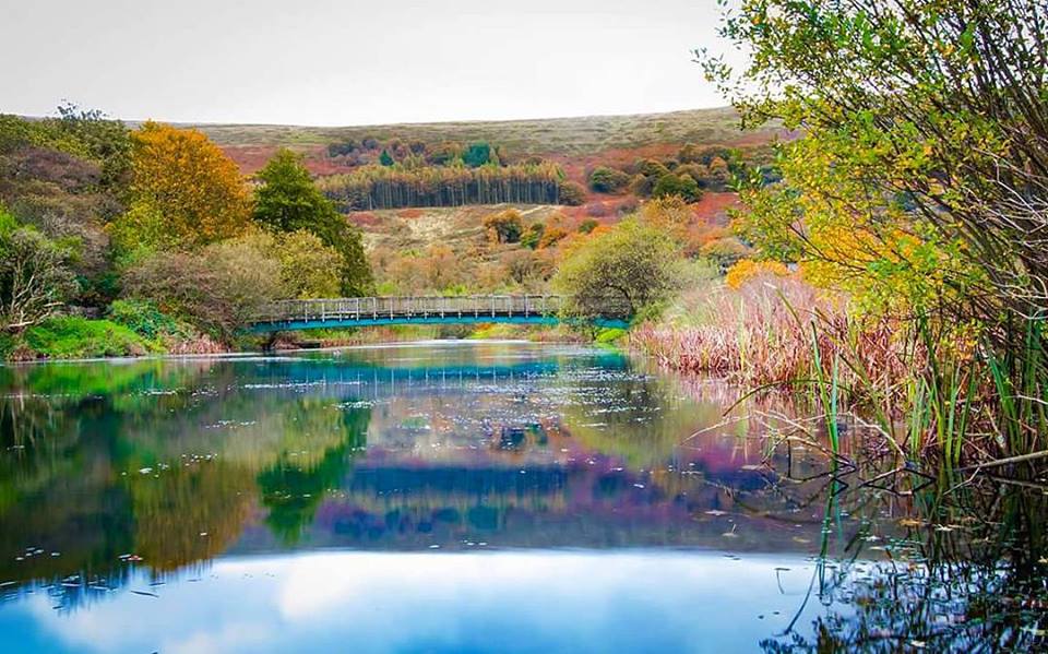Pixels_Paint's tweet photo. Mirror lake - taken in Blaina, Gwent, https://t.co/7TBPohsqan #Cwmcelynpond #Blaina #canon #pixelsandpaint #Hometown #welshvillage #Canon80D https://t.co/6nUv9uOdbT