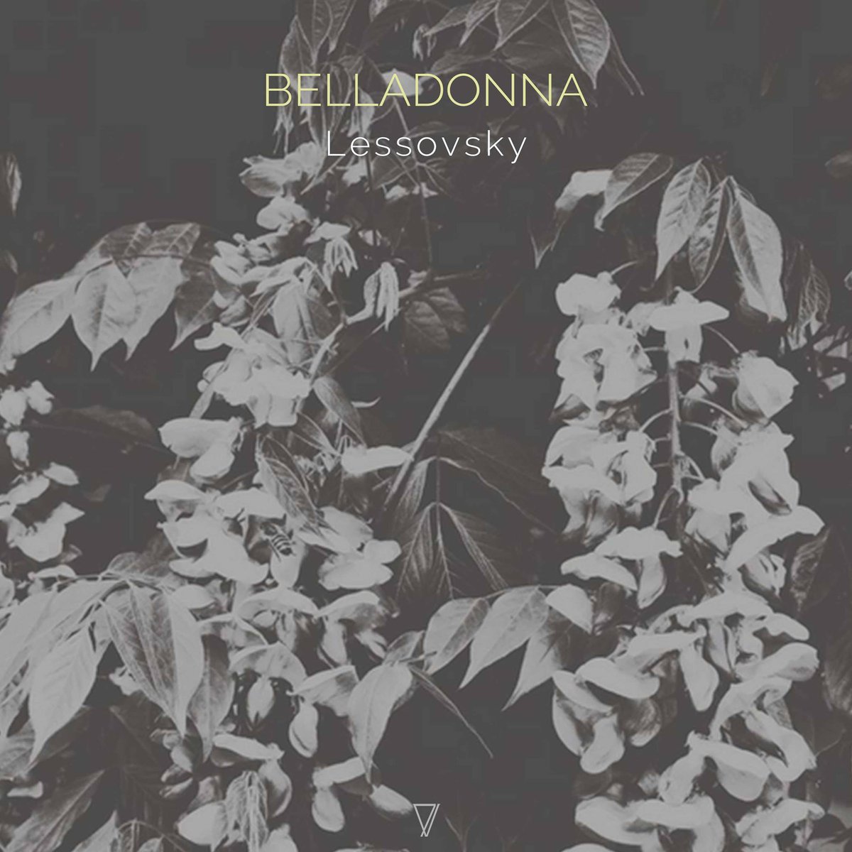Lessovsky's tweet photo. My new "Belladonna" EP out today on Pablo Bolívar's imprint Seven Villas Music. Incl. 3 original tracks and amazing remix by Javier Orduña

Get your copy:
https://t.co/hq1YkpSza0 https://t.co/812Rb06D5o
