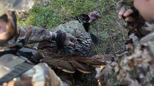 eddieturkeyman's tweet photo. Hard work pays off! https://t.co/pLNT2X5BYX