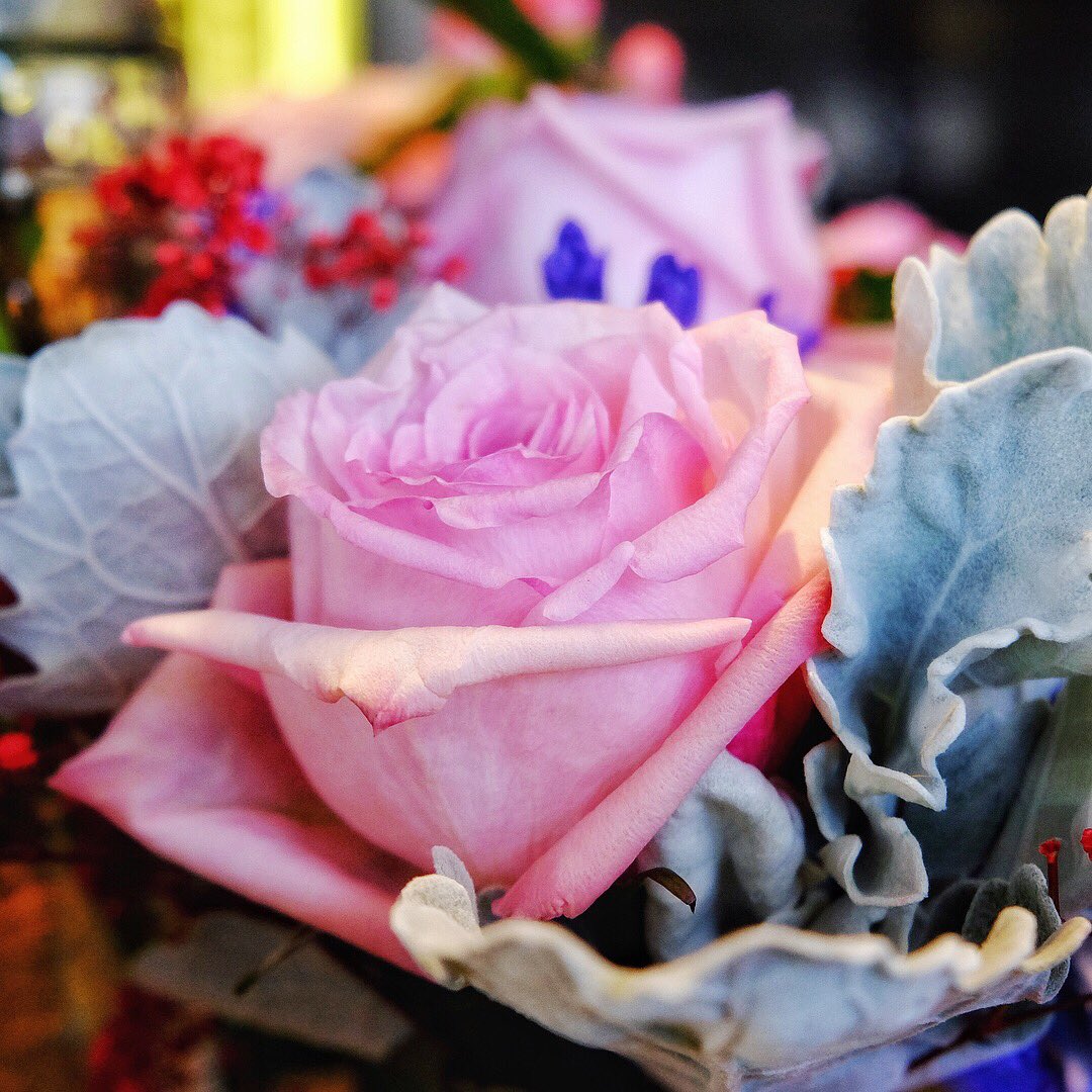 Valentine’s Day reasons to loveOttawa and <a href="/blumenstudio/">blumenstudio</a> on Parkdale! <a href="/Wellington_West/">Wellington West Business Improvement Area</a>