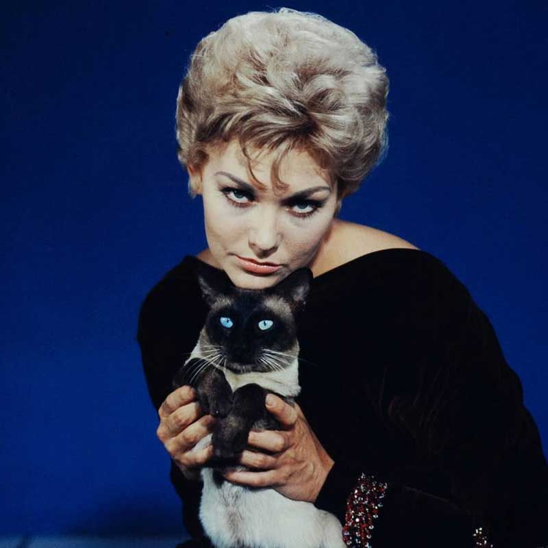 Happy birthday to Kim Novak! 