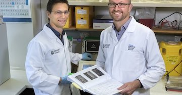 LetsFaceItCare's tweet image. &quot;The End of #YoYoDieting? Researchers Uncover #BrainSwitch That Controls #FatBurning&quot;
letsfaceit.care   
#LatestHealthCareNews