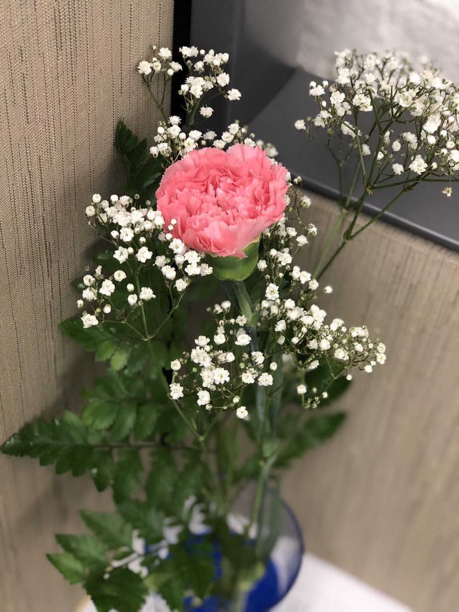 mountain_faith's tweet photo. Shoutout to my dad who hand-delivered this to me at work today #25daysofposting https://t.co/bfCF47gxkR
