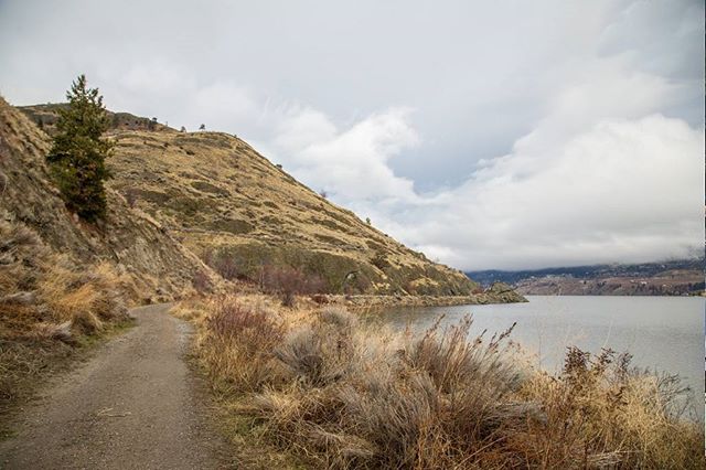 A sign that spring is coming ! The #kvr from Okanagan Falls is in fantastic condition. Who's ready to ride ? 
 
#bikepenticton #visitpenticton #pentictonBC #route97 #explorebc 
📷: <a href="/pacapenticton/">Bike Penticton</a>