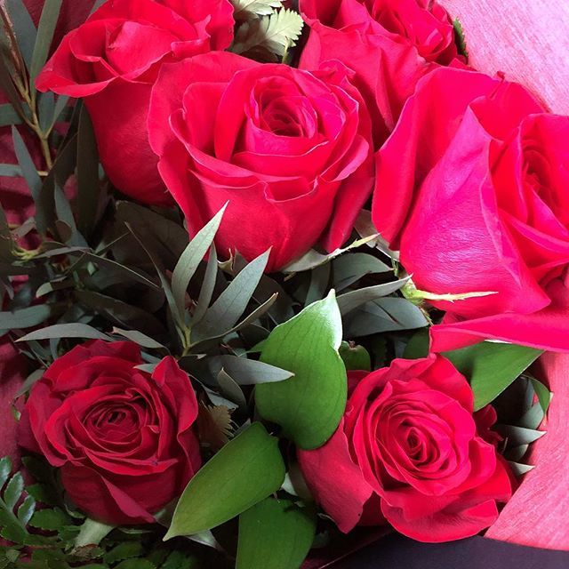 gingagma's tweet photo. Did not expect these beauties... All the loves for @njakobs!!! #alltheloves #lovemyman #valentinesday #romance #redroses #love #aroha #tewhanganuiatara #wellington #aotearoa #nz https://t.co/XybnF9mW4z https://t.co/vfk3a4ocHm