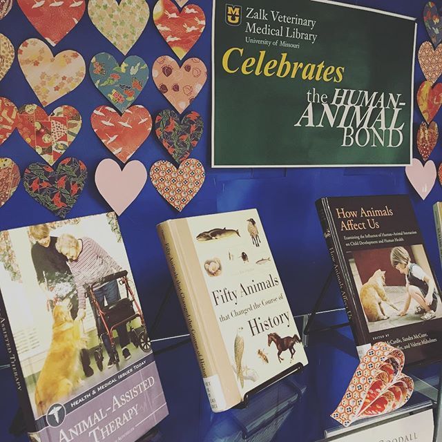MizzouLibraries's tweet photo. Happy Valentine's Day from Zalk Library! We're celebrating with a book display on the human-animal bond!⠀ ⠀ #ZalkLibrary #LibrariesOfInstagram #LibraryLife #Shelfie #MyDogIsMyValentine #OneHealth #Love #Hearts #Mizzou #MizzouLibra… https://t.co/QVws0ZcIIl https://t.co/TjUInJo0TQ