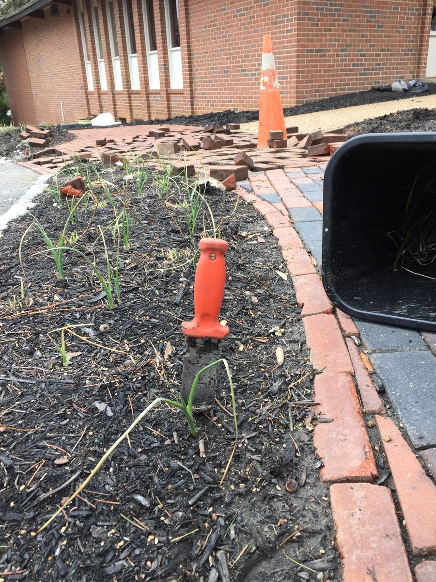 HadenHort's tweet photo. #ConstructionDemolition has begun at work; so I spent the day #RescuingPlants from being driven or piled over with building materials with my trusty @amleonardinc #SoilKnife #TransplantingByNeed #DutchIris https://t.co/pVKyjG9j9I