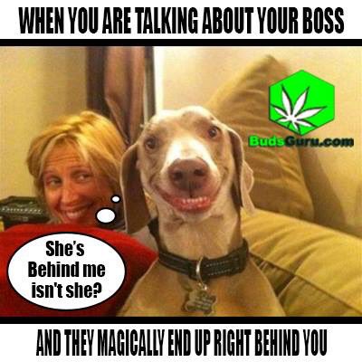 budsguru's tweet photo. https://t.co/KBXkfOC1Mr