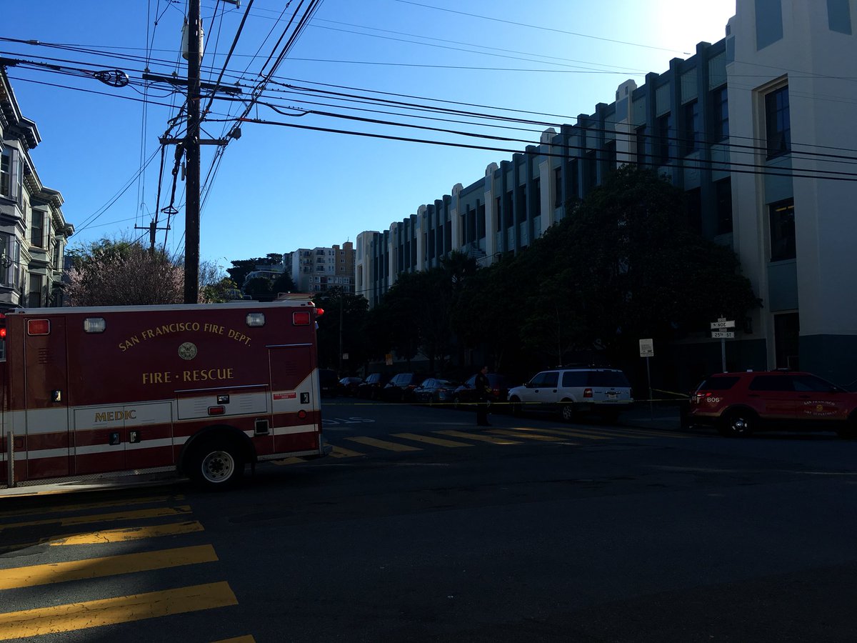 noevalleynotes's tweet photo. Back half of #jameslick in #noevalley all normal. Front not so much. Apparently kids getting sick https://t.co/pd2wCkVaMd