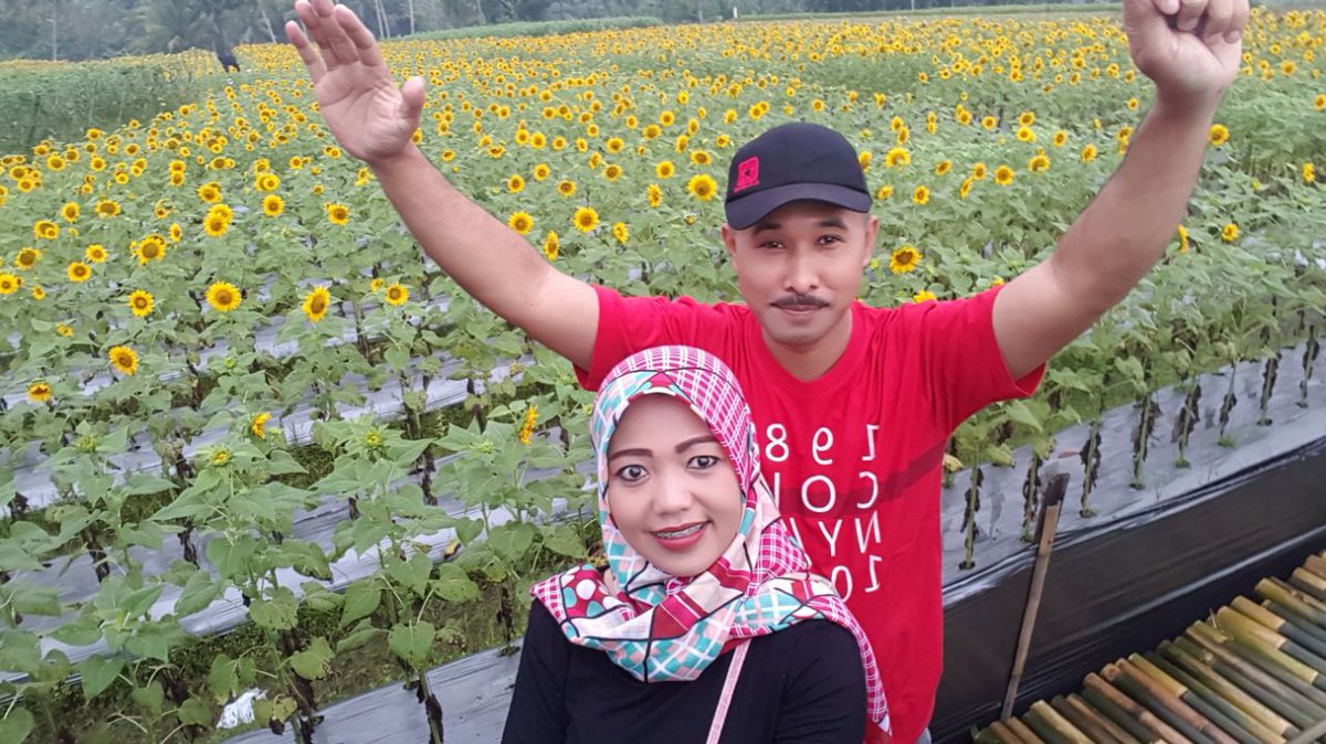 IBmtbarokah's tweet photo. kebun milik tetangga......
@dewari# https://t.co/anDEqEukKm