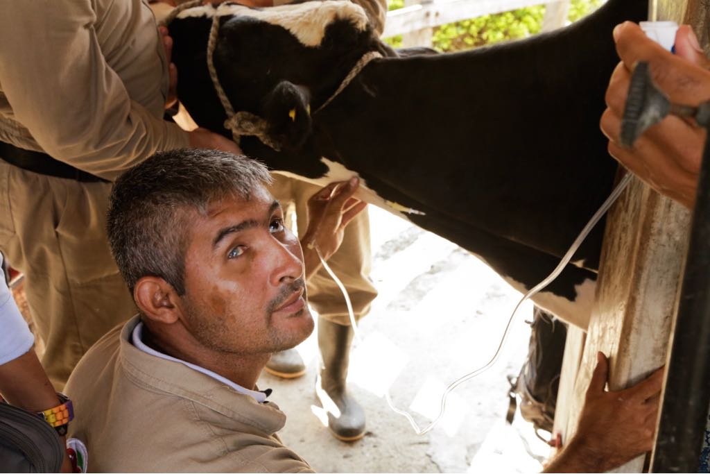 ARNColombia's tweet photo. 🐄Hay un largo camino que recorrer y todos los días se aprende algo nuevo, por supuesto los animales del campo pueden ser los mejores maestros. 🐴#UnaOportunidadLoCambiaTodo - @ParquePanaca https://t.co/inpEfvTs0P