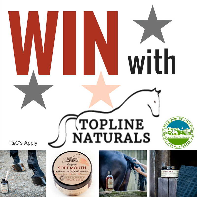 socialtailsmktg's tweet photo. #WIN with Topline Naturals £50 worth of #organic grooming products! For a chance to win some Hoof Dressing, Soft Mouth, Leather Balm, and a Nourishing Shampoo simply RT &amp; follow @toplinenatural. UK entrants only, #competition closes midnight 20.02.18 🌟🐎https://t.co/LbHS92azLz https://t.co/Z2StsjQskI