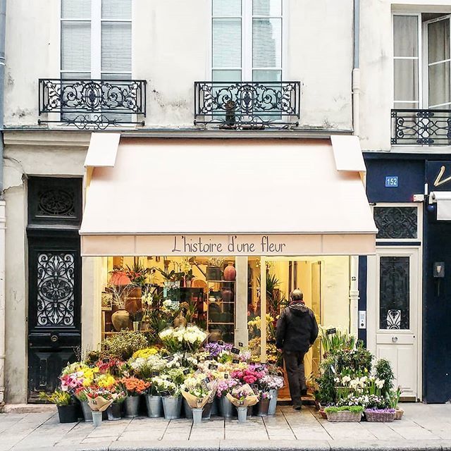Good thing Paris is full of flower shops because flowers always make people happy! 💐 With Valentine's day around the corner, will you be saying 'I love you' with a bouquet?
Nice pic <a href="/an_other_day/">an other day</a> 👌 #Parisjetaime #Paris #Parigi #巴黎 #パリ #파리 #باريس … ift.tt/2BVHi8j