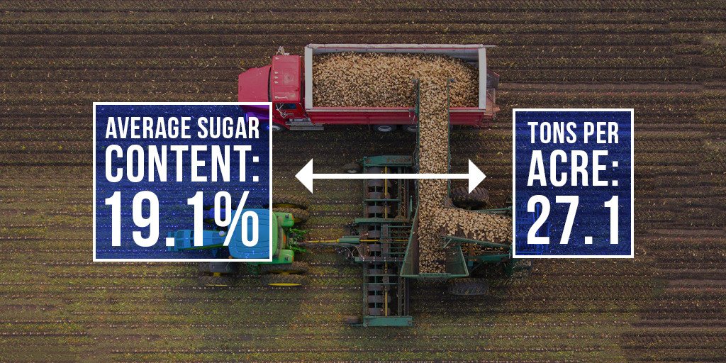 CrystalSugarCo's tweet photo. Here’s another #FunFact for our #birthday countdown: In 2012, shareholders delivered a record crop with an average #sugar content of 19.1% &amp; 27.1 tons/acre! #ACSTurns45 https://t.co/XQtl4LPUTx