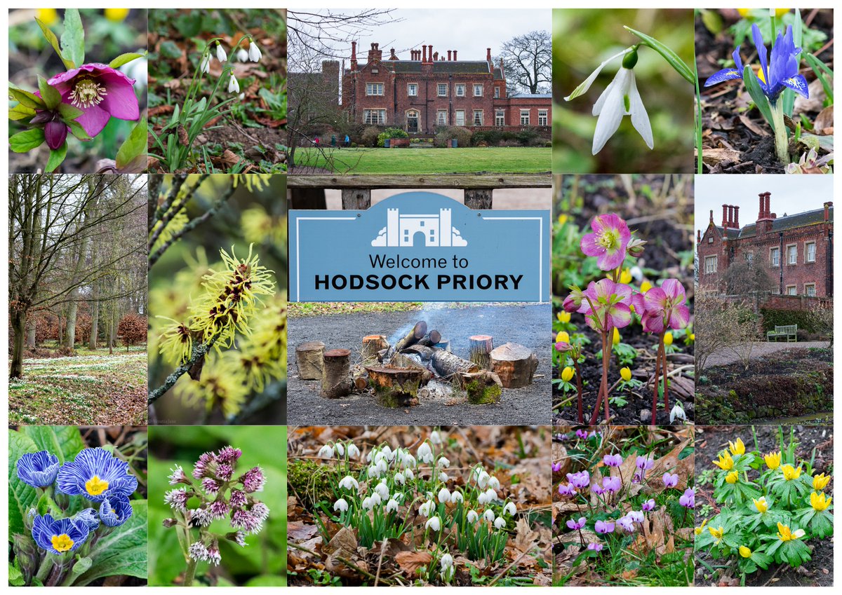 VenetiaJane's tweet photo. I spent a wonderful morning @HodsockPriory in Nottinghamshire today. This stunning venue with its snowdrop carpeted Horsepasture Wood and gardens full of early spring colour is a great place to visit. Wonderful plants for sale too! https://t.co/dZH760F25l #Snowdrops2018 https://t.co/UYCztLZYts