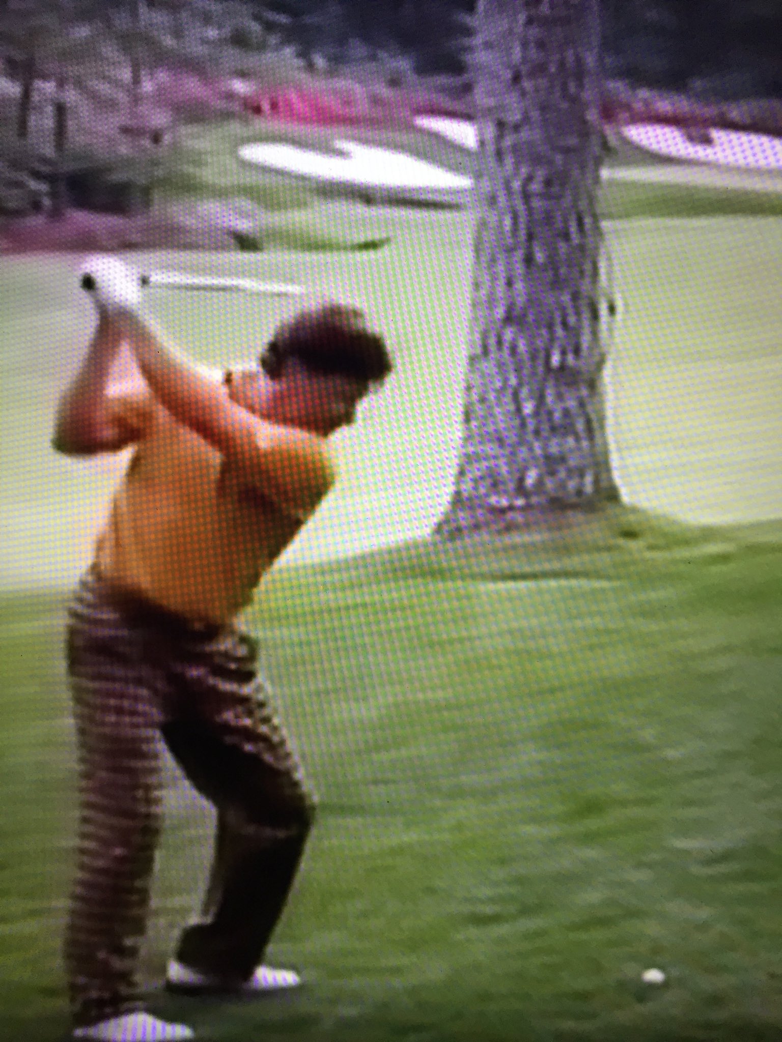 Brandel Chamblee On Twitter Ever Wonder How The Diminutive
