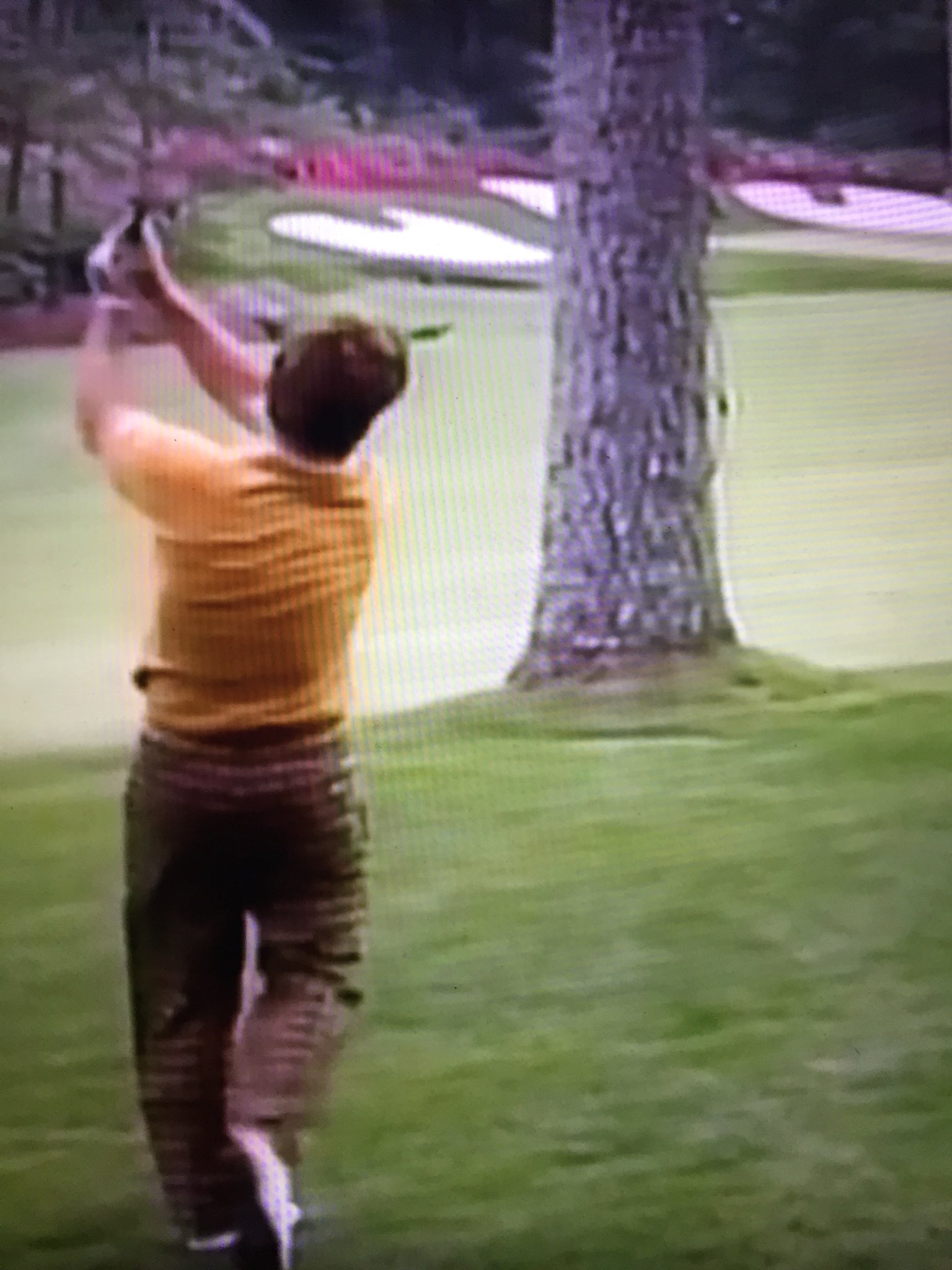 Brandel Chamblee On Twitter Ever Wonder How The Diminutive
