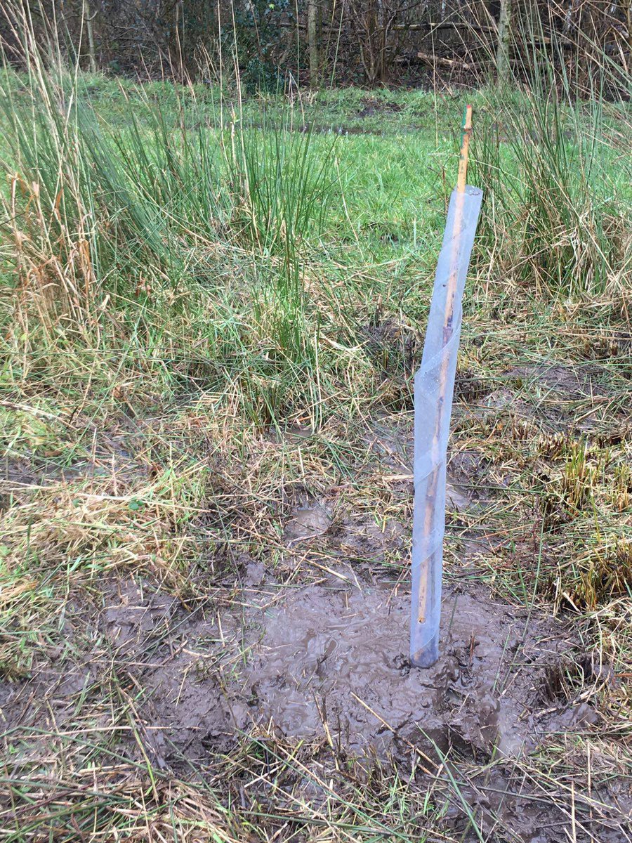 JameaMasjid's tweet photo. The Boys From Madrasah Taleemul Islam Had A Busy Day At The Weekend Planting 150 Trees At Bank Wood, Fishwick Nature Reserve. 🍃 🌳 

Well Done To Staff, Volunteers &amp; Children For Braving The Wet Weather To Take Part In This Worthwhile Cause. 💦 ☔

#grow #plant #trees https://t.co/DTBL5ao5sz