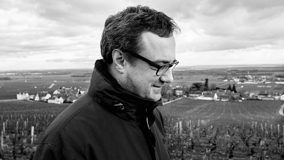 VinousMedia tweet picture
