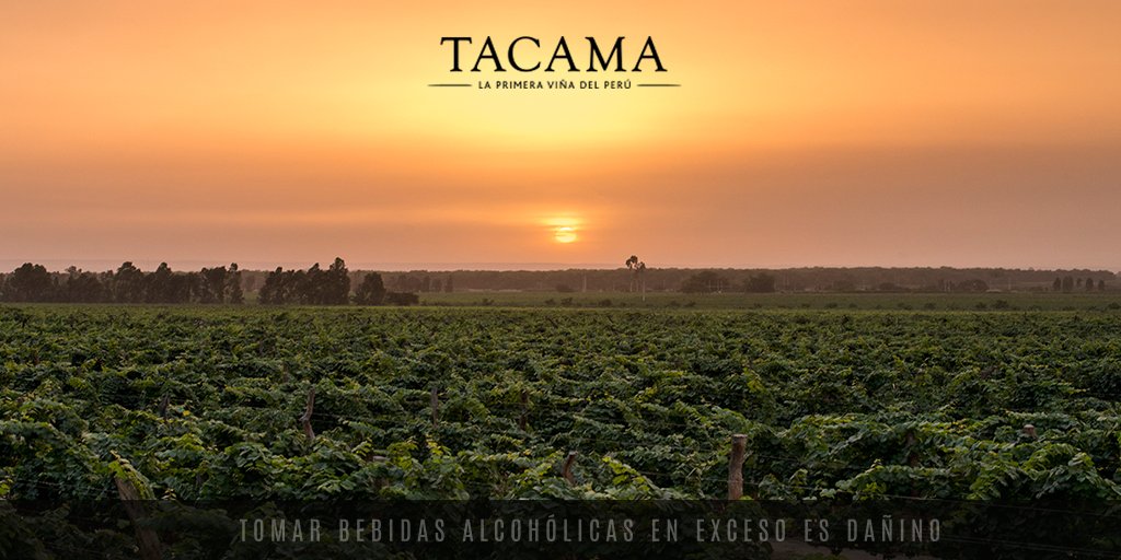 ViveTacama's tweet photo. El ocaso es un momento perfecto para desconectarse del mundo y entrar en sintonía contigo mismo. Vívelo en la primera viña de Sudamérica. https://t.co/kRfEzvY19E
