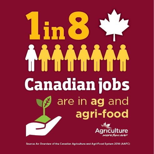 MBGovAg's tweet photo. Agriculture contributes 62,000 jobs to the Manitoba economy. Share your story about the ag industry and help spread awareness about the impact it has on our daily lives. #CdnAgDay #AgMoreThanEver https://t.co/zwdwbOa6hL