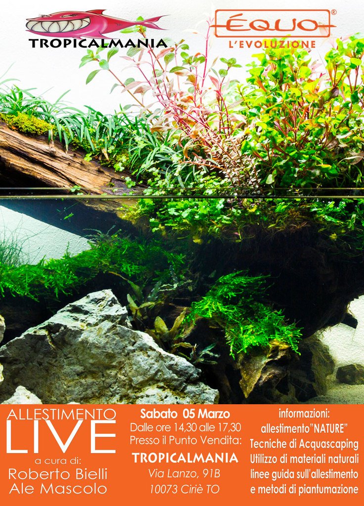 EQUOSRL's tweet photo. E’quo workshop Sabato 5 Marzo presso Tropicamania (TO), vi aspettiamo https://t.co/f2PjF6djFF https://t.co/rxvMfLDmfd