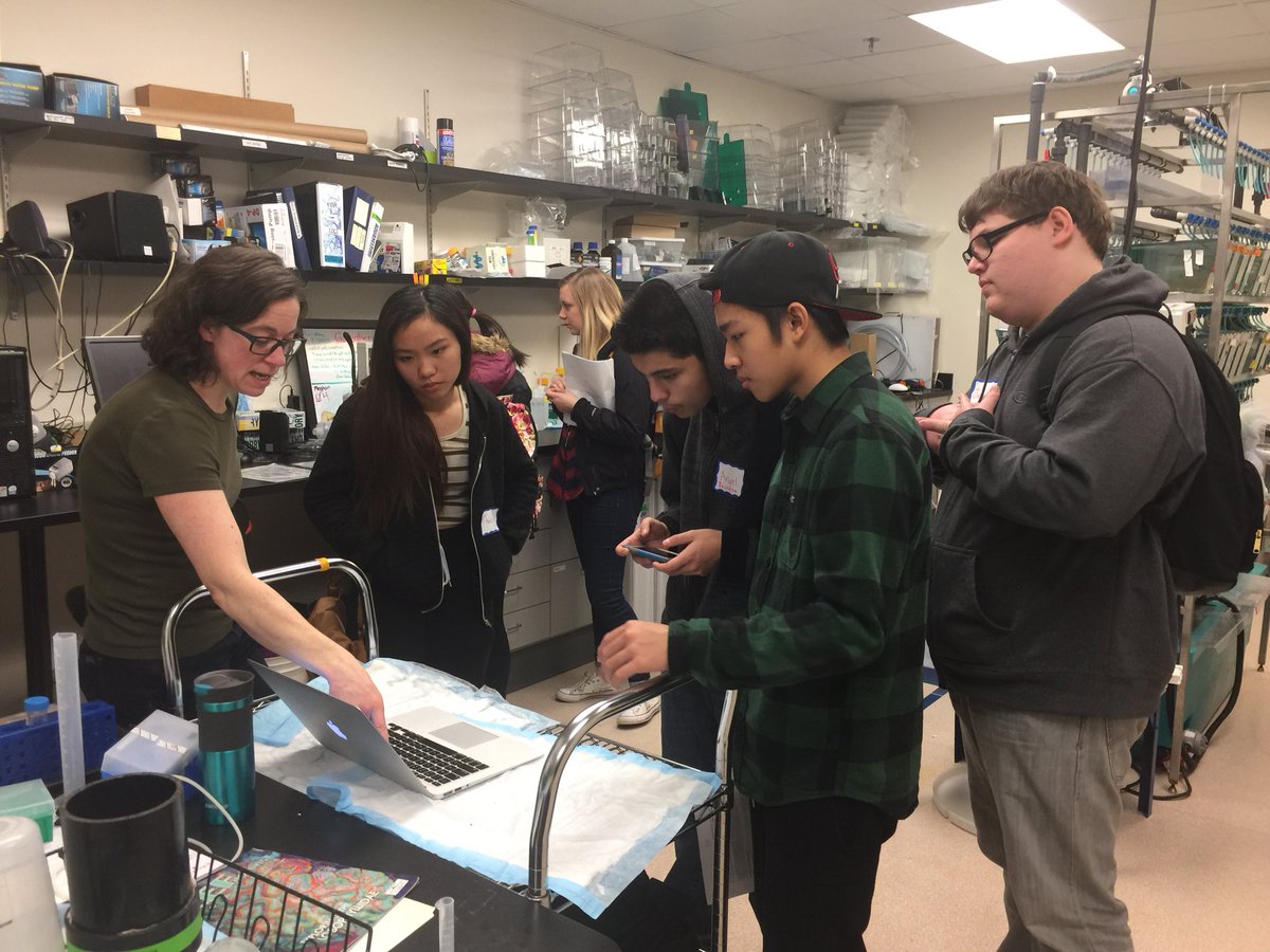 UWDEOHS's tweet image. High school students from @HighlineSchools visiting our DEOHS zebrafish labs to learn about careers in environmental and occupational health! #zebrafish #STEM #exploringSTEM #environmentalhealth