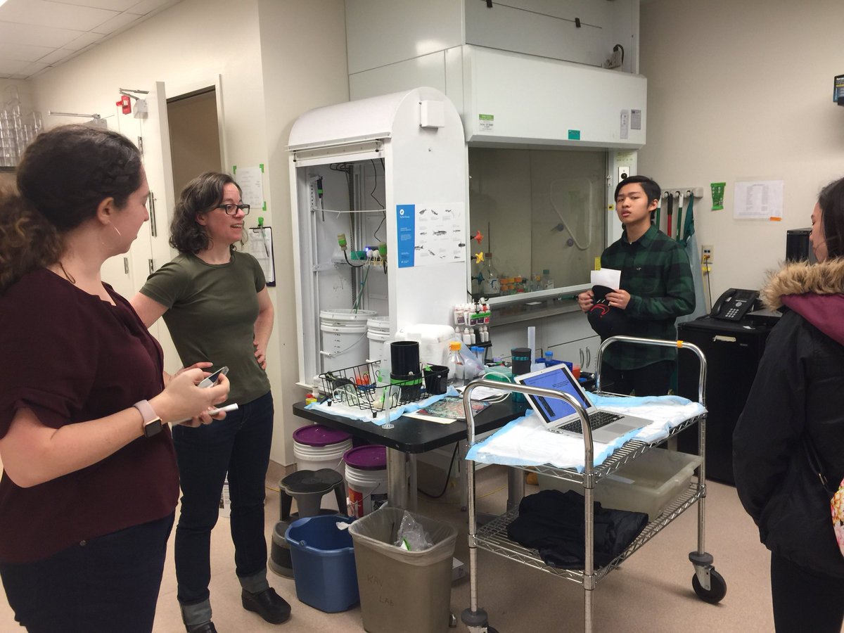 UWDEOHS's tweet image. High school students from @HighlineSchools visiting our DEOHS zebrafish labs to learn about careers in environmental and occupational health! #zebrafish #STEM #exploringSTEM #environmentalhealth