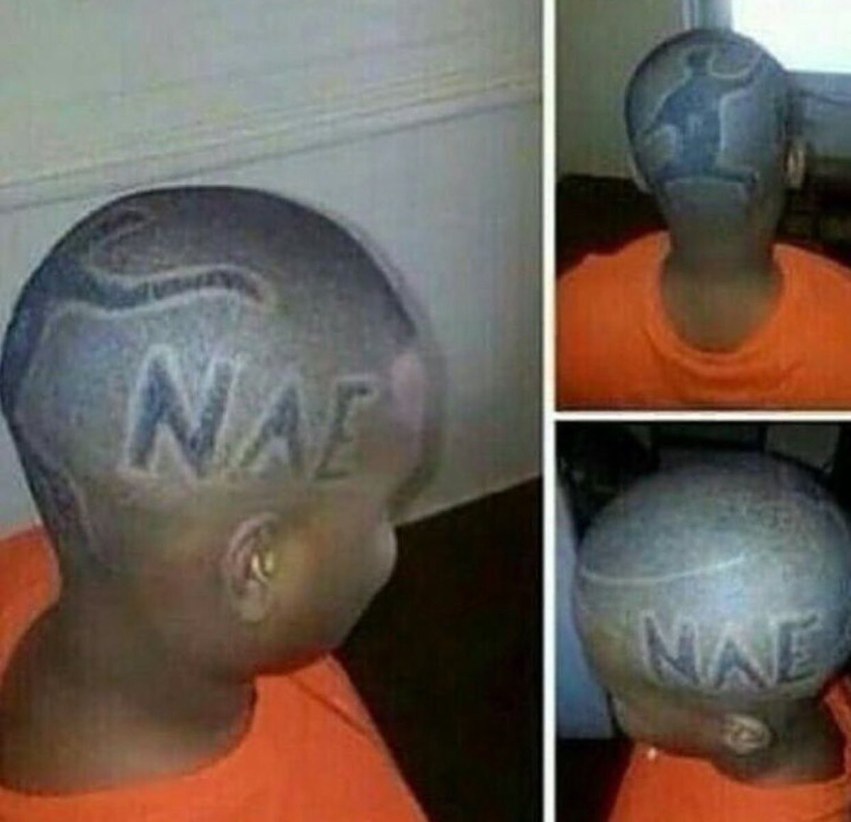 Jake Zeeb tweet media