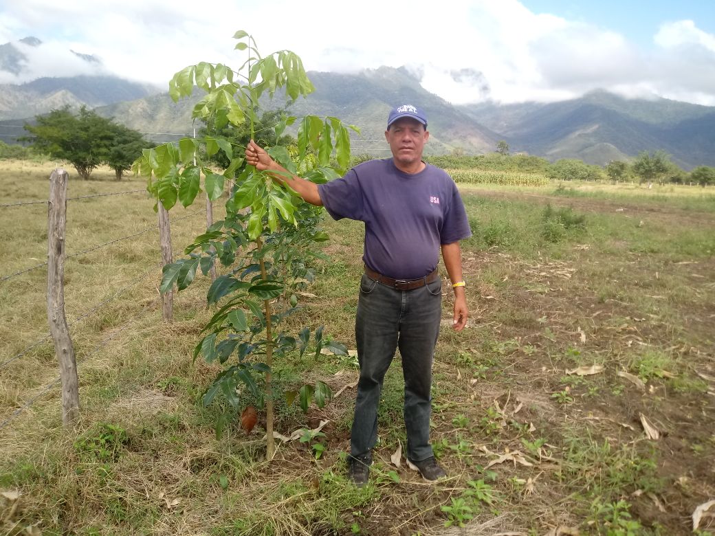 cambridgemabuzz's tweet photo. #Silvopasture in Honduras. Integrating #trees, livestock, and pasture in a mutually beneficial way. Silvopasture systems can provide critical #habitat needs for many #wildlife species. #Chilo #AJAASSPIB https://t.co/qaNcGJDtCN https://t.co/v7fO1IDTQ3