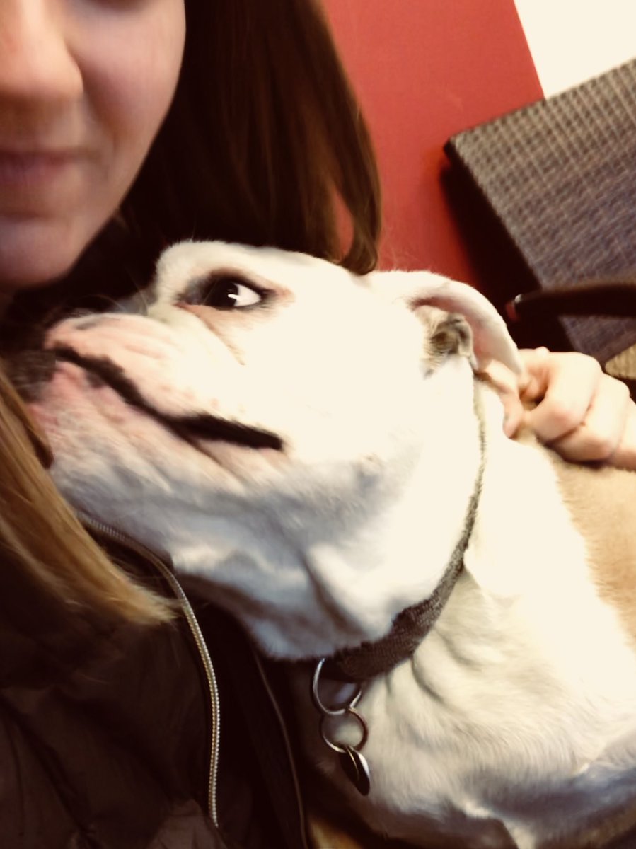 VeeMiller11's tweet photo. Another reason I live field partnering #officepets #TFBelevate #Philly #EyeoftheTiger #Wolfpack @LLaPresta @TMobileBusiness @BigMoneyMikeGP5 https://t.co/z2Q7isywr2
