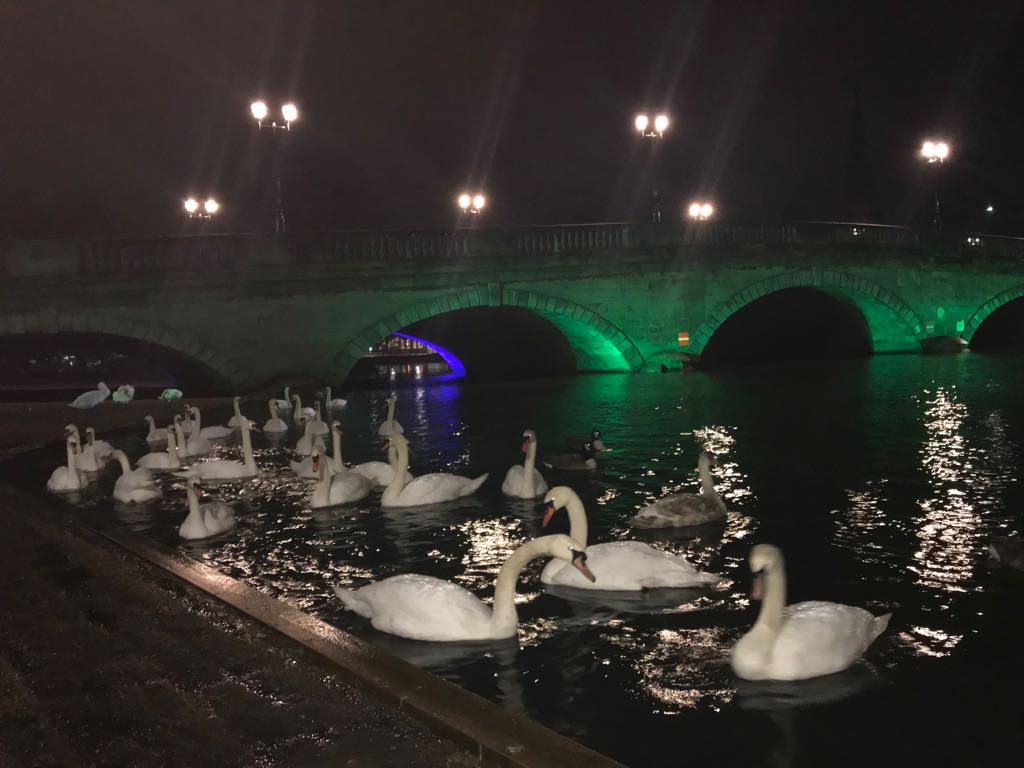 Niall352's tweet image. Listening to  "reflections unseen" earlier then stumbled across these chancers in Bedford. Life imitating art @FolkDoctors @UltMul #choons