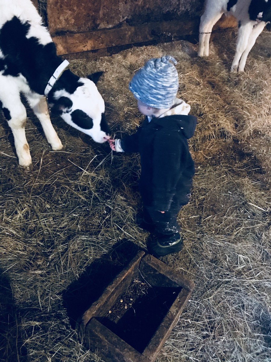 oaharvey's tweet photo. Happy #CdnAgDay! Lucky to be a part of this great industry. https://t.co/paGDYyYrtR