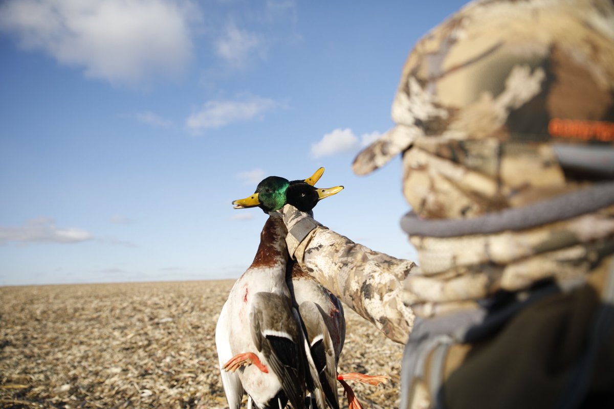 Sweet green! #SitkaGear