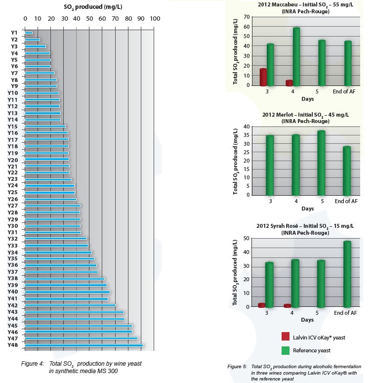 Acheive lower level of total #sulfites with the use of wine yeast which produces very little acetaldehyde during alcoholic fermentation
buff.ly/2G7NKXQ #winemaking #v18