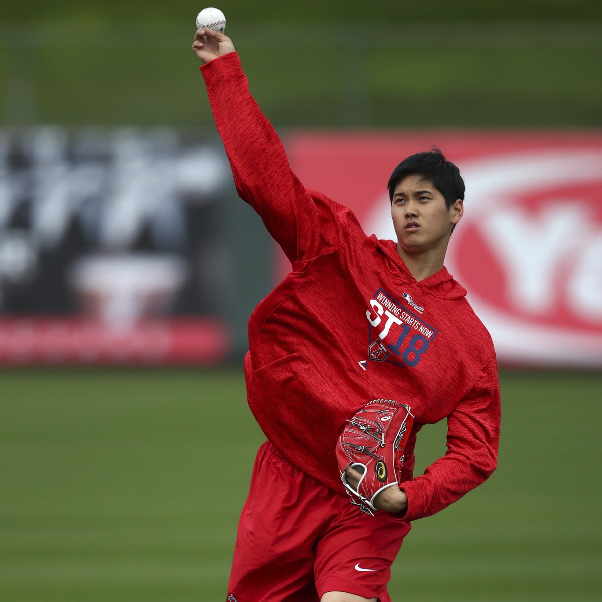 MLB's tweet photo. It's Shotime at @Angels camp. #SpringTraining https://t.co/mFGKrXcIYN