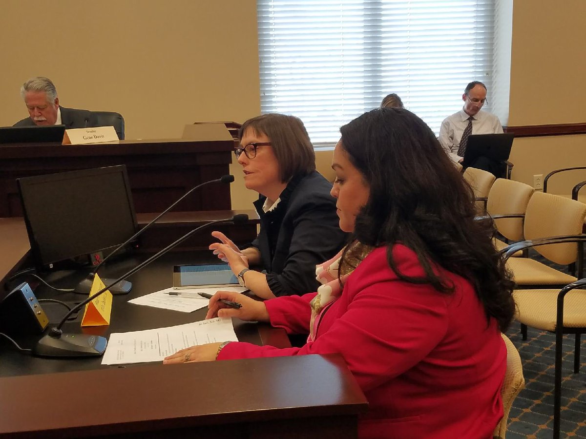 ErinJems's tweet photo. @ywcautah supports and spoke in support of @SenatorLuz #HB152 to assess whether there’s gender-based wage discrimination in state agencies. Senate Business and Labor adjourned without taking a vote. #utleg #utpol https://t.co/KGOnoFp0qY