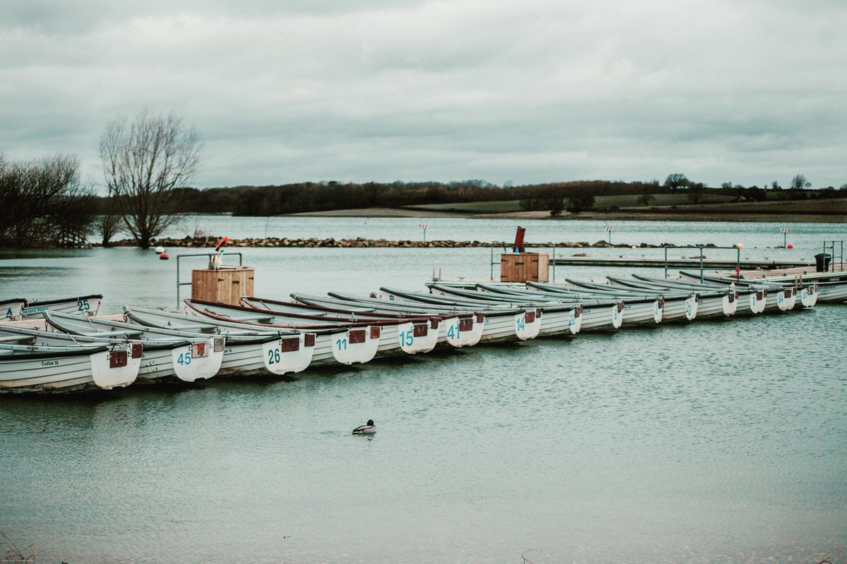 Fishing boats at Rutland Water...and a chilly duck. 🦆 #Rutland #rutlandwater #thegreatoutdoors